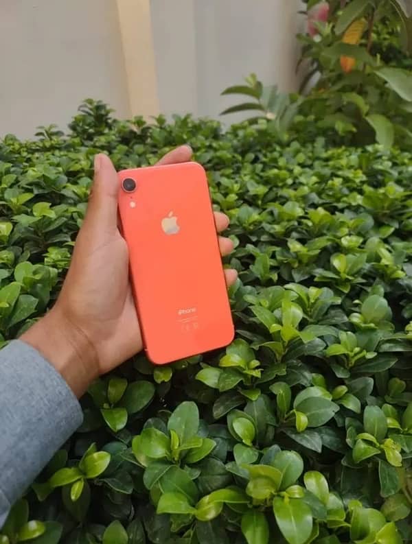 iphone XR 0