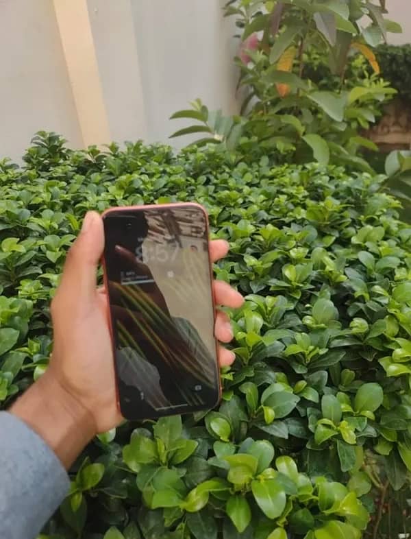 iphone XR 1