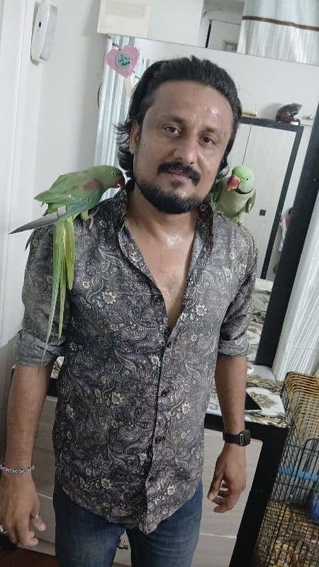 Raw parrot 19