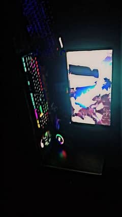 New