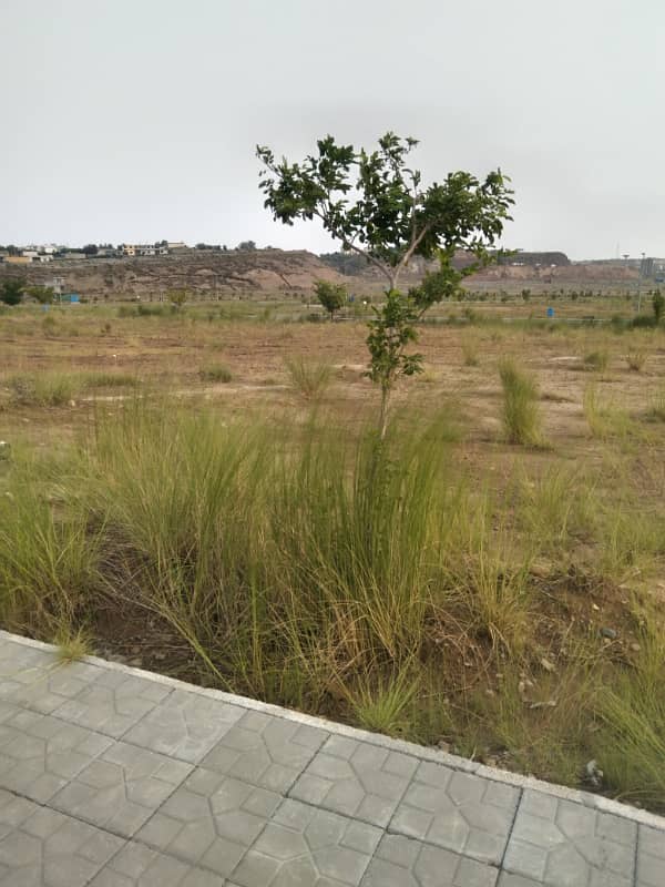 Avenue five Marla plot Available for sale 1
