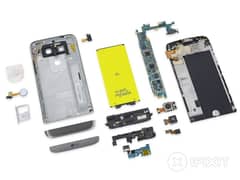 lg