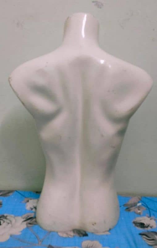 Dummies available for sale 1