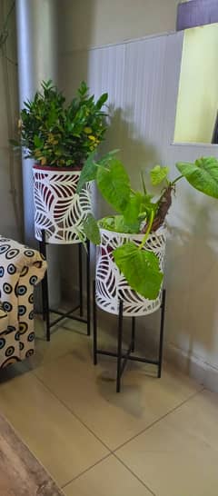 Flower Pot