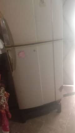 Pel full size