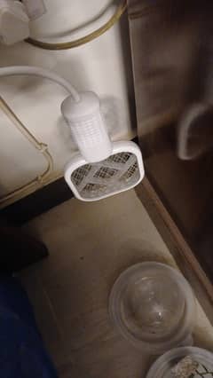 Mosquito