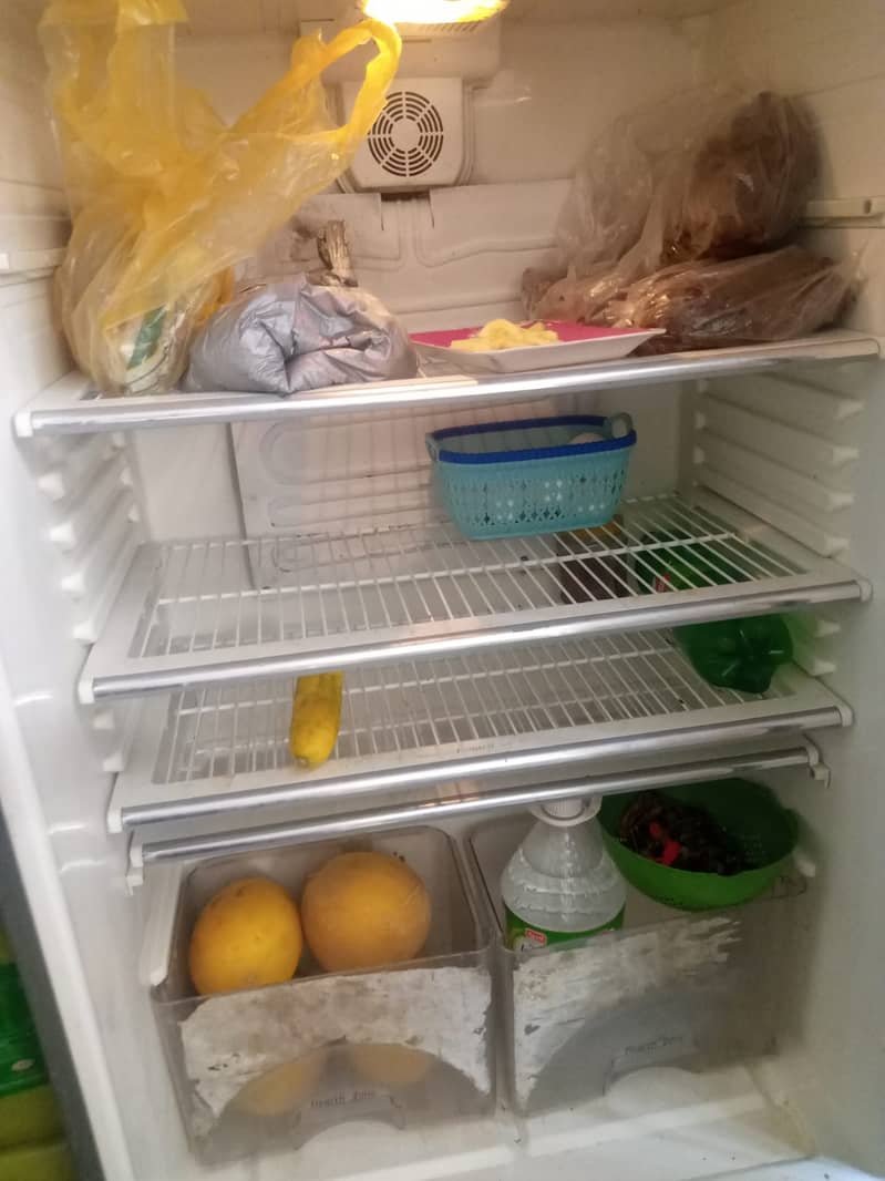 Dawlance, Full Size Refrigrator 3