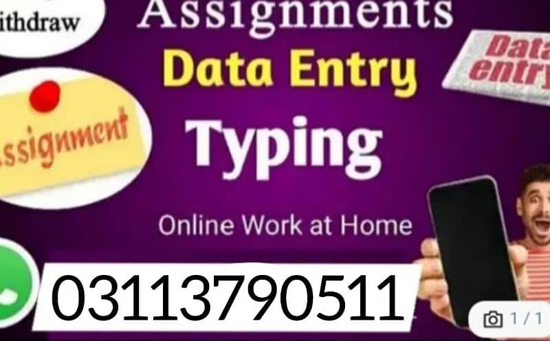 assignmentwork/hand writing/ online work 0