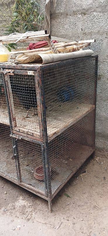 double portion hen cage 0