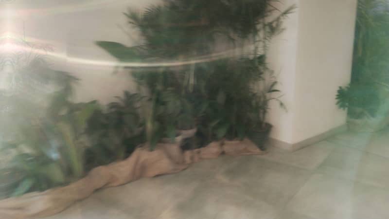 Rented Shop For Sale Under CDA Zone 5 4