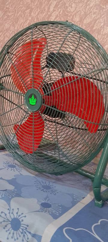 imported table fan 5