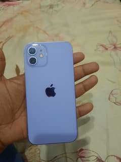iphone 12.