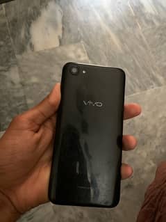 vivo
