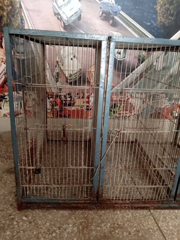 canary bird cage 1