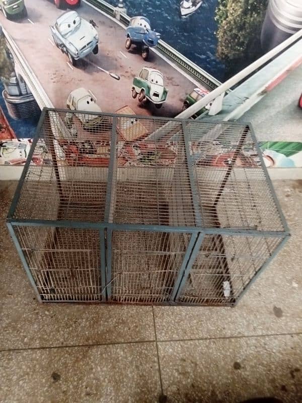 canary bird cage 2