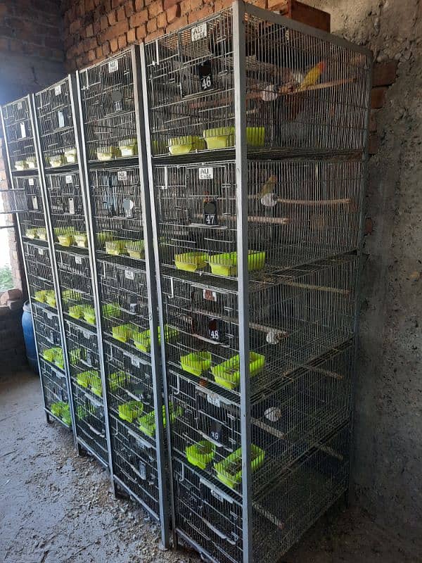 galvanised cage for sale 1