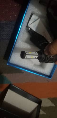 white bulb