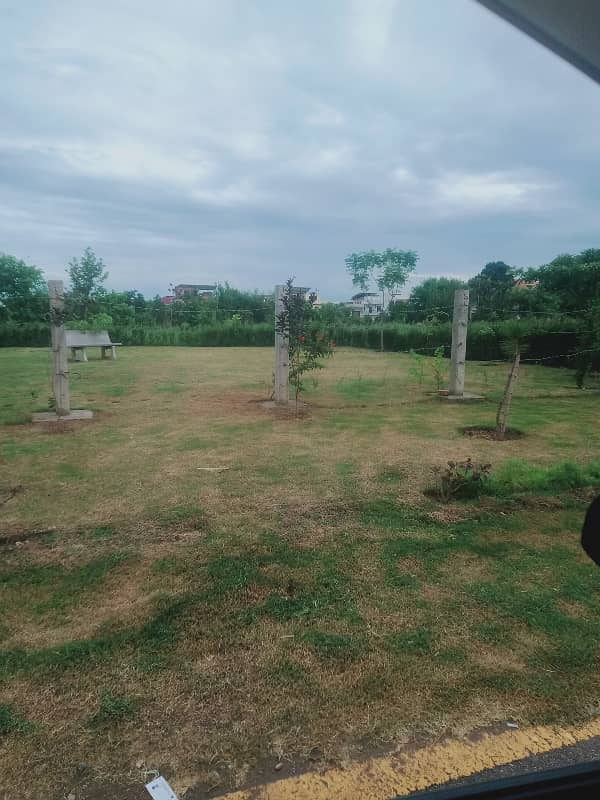 D12/2 600 Sq Yard Level Plot Front Green Area For Sale 2
