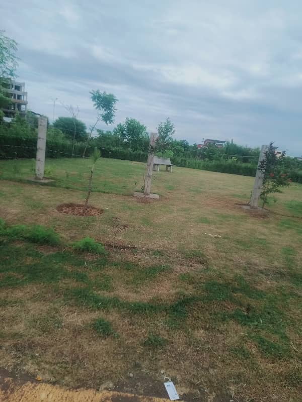 D12/2 600 Sq Yard Level Plot Front Green Area For Sale 5