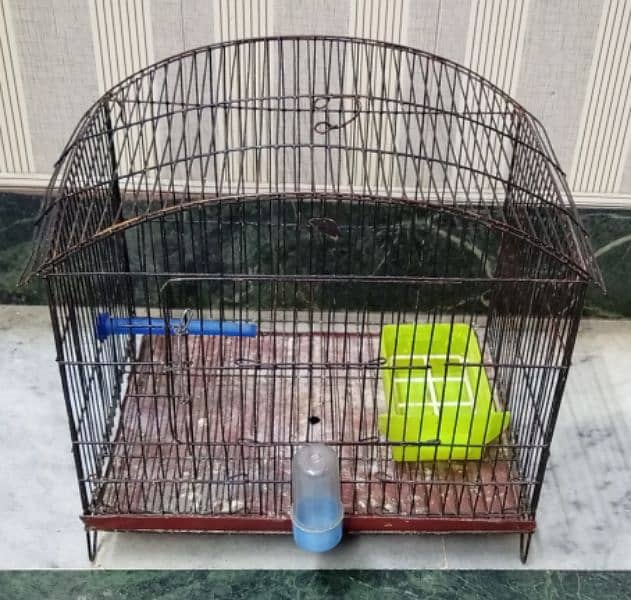 Love Birds, Budgies, Australian Iron Cage 03317862112 1
