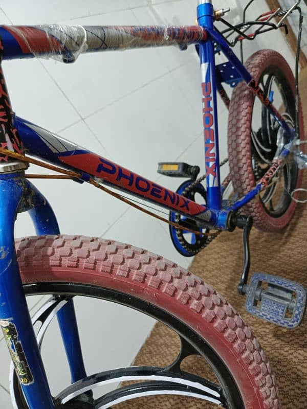 PHOENIX Cycle 0