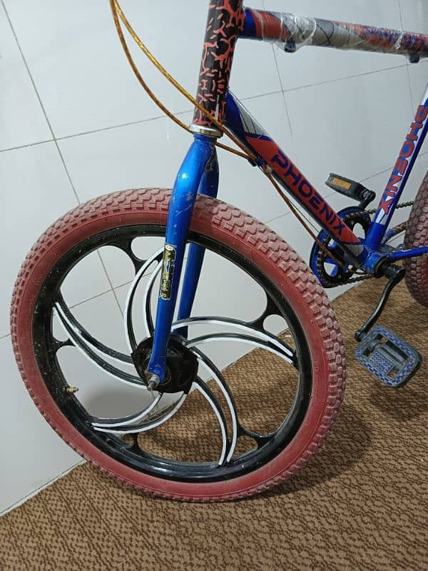 PHOENIX Cycle 1