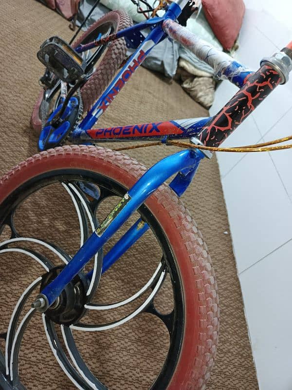 PHOENIX Cycle 3