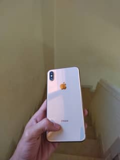 IPhone Xs Max (256 gb)