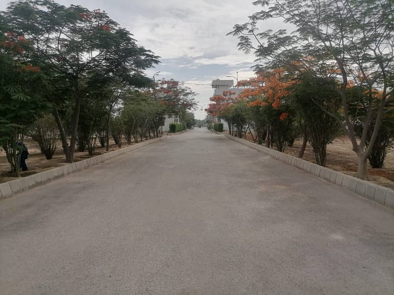 Al Jadeed Residency Exclusive 280 Sq. Yards Plot for Sale! 3