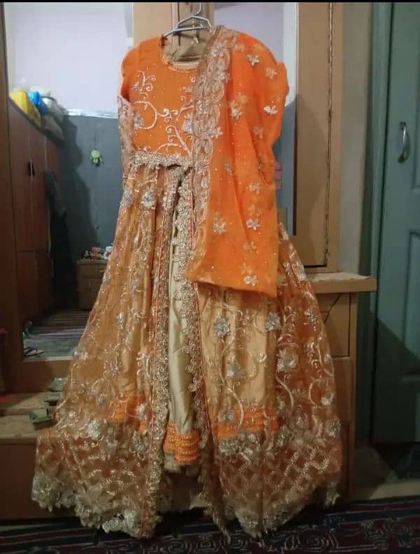 double lehenga with embroidered dupatta 0