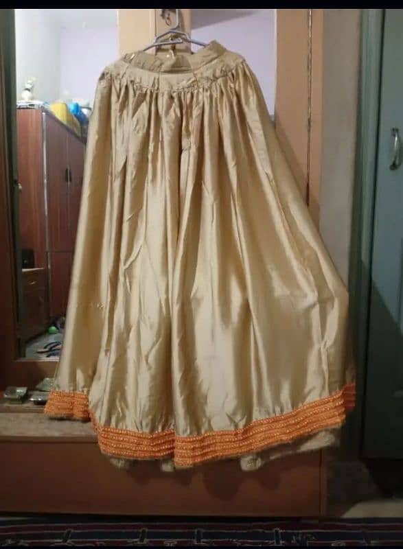 double lehenga with embroidered dupatta 3