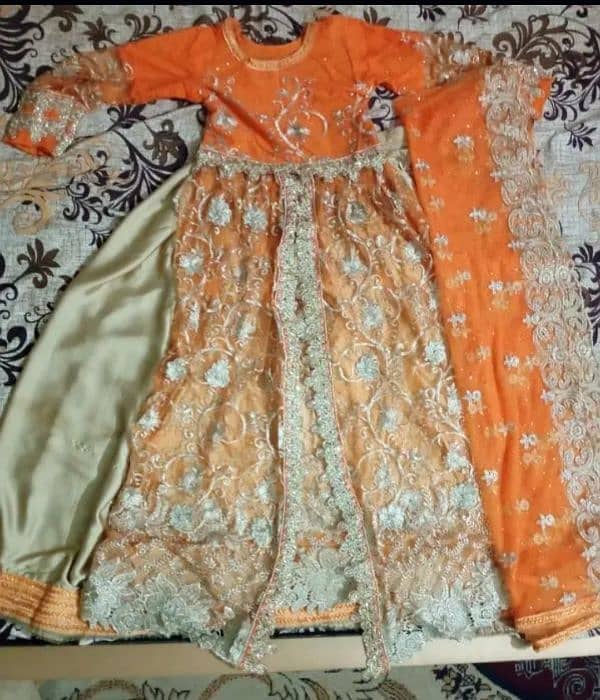double lehenga with embroidered dupatta 4