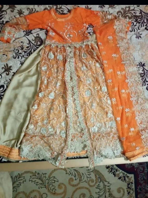 double lehenga with embroidered dupatta 5