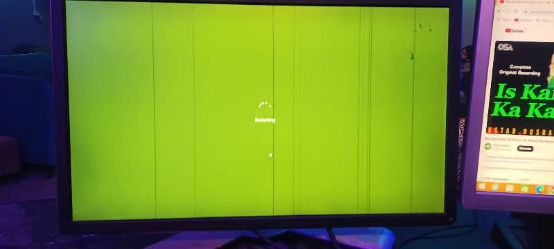Dell 24-Inch LCD Monitor for Sale – Minor Screen Line 6