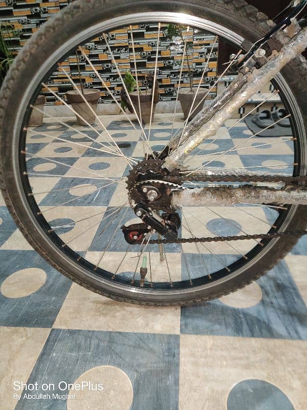 Jaguar cycle with gears 26 size 10