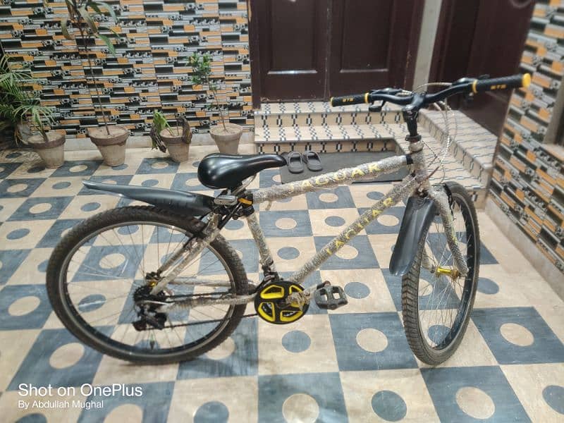 Jaguar cycle with gears 26 size 11