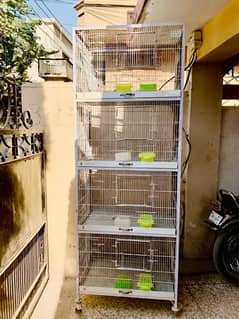 Birds Cage
