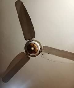 life fan . (copper winding)