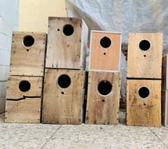 Love Birds Boxes