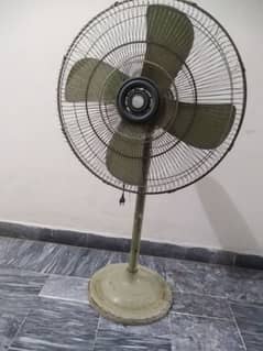 stand