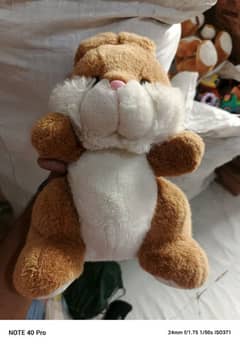Teddy