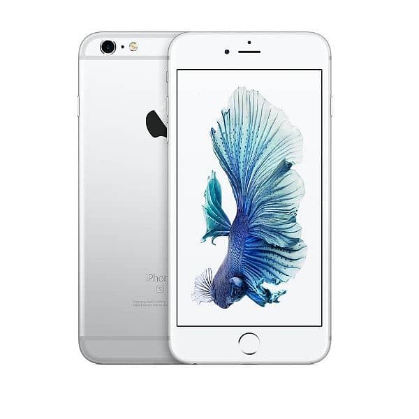 iphone 6plus with box pta approved 0