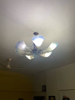 home wall n fancy lights
