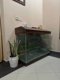 Big aquarium