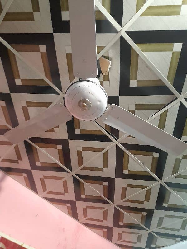 NATIONAL FAN NEW ONLY 1 MOTH USE 0
