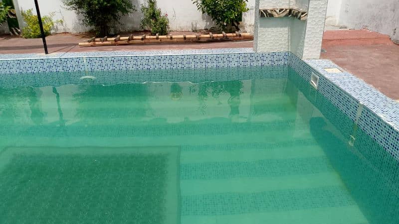 swimming pool for pool party 1