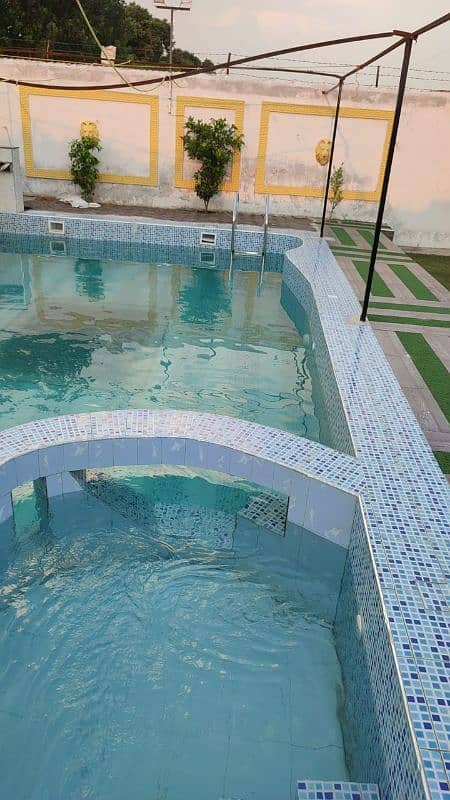 swimming pool for pool party 2