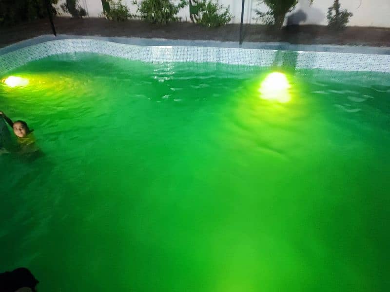 swimming pool for pool party 4