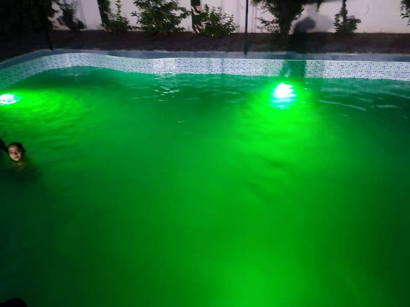 swimming pool for pool party 6