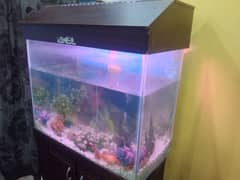 urgent sale fish aquarium 2.5 fit with stand divider